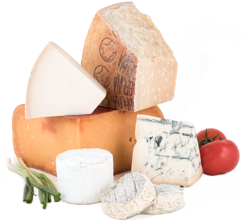 group of gourmet cheeses