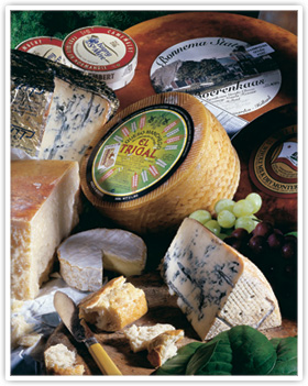 Gourmet Cheese of the Month Club