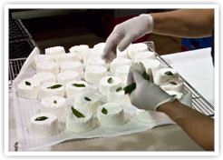 Making Chevre By Hand