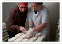 One of Our Buyers On Location Inspecting Goat Cheeses